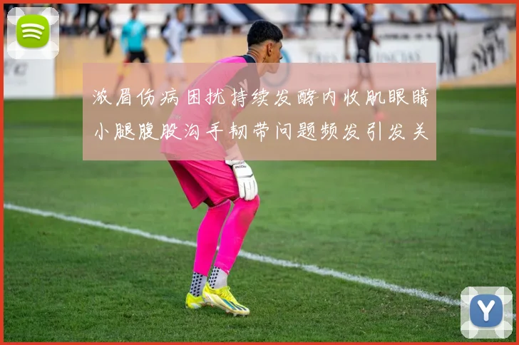 浓眉伤病困扰持续发酵内收肌眼睛小腿腹股沟手韧带问题频发引发关注