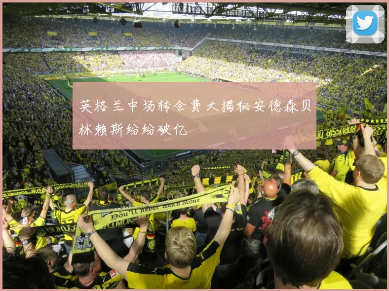 英格兰中场转会费大揭秘安德森贝林赖斯纷纷破亿